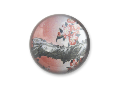 Glass dome paperweight with a detail of a Hokusai print inside.