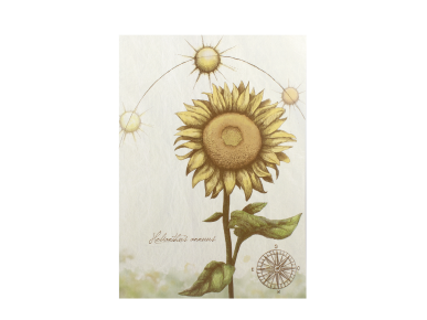 poster illustrated with a sunflower