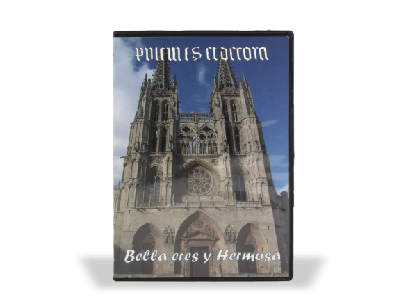 caja, vista de frente, de un DVD sobre la catedral de Burgos