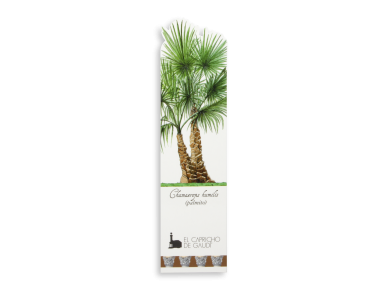 bookmark showing a palm tree