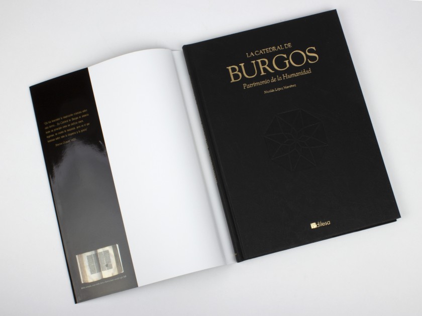 cover of the book "La catedral de burgos. Patrimonio de la humanidad".